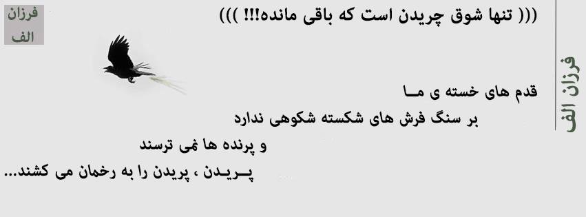 تنها شوق چریدن است که باقی مانده!!!