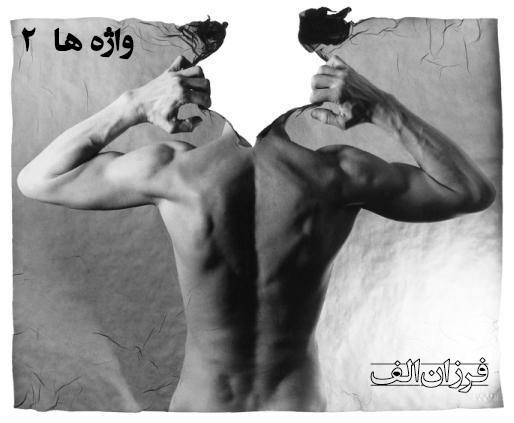 واژه ها2