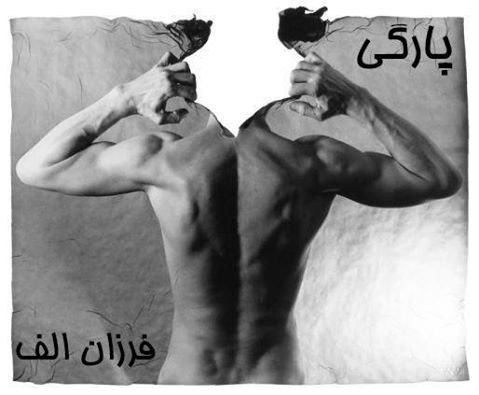 پارگی