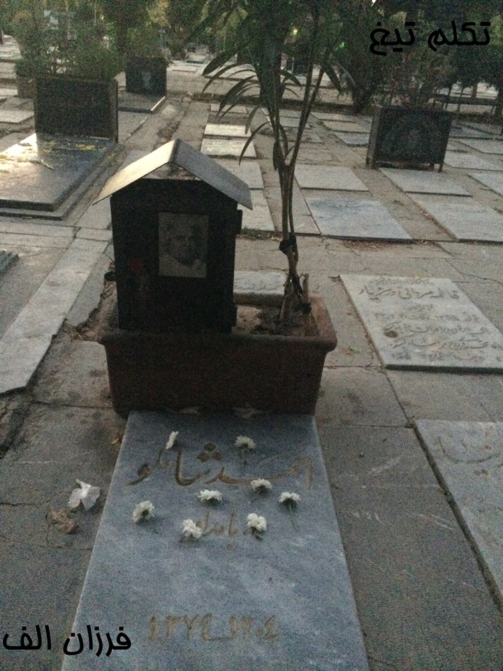 تکلم تیغ