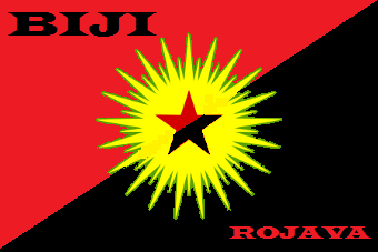 Anarchists in Support of Rojava-Kurdistan آنارشیستهای مدافع کوبانی