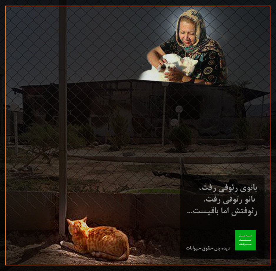 حمله افرادی با قمه به هاله برومند موسس پناهگاه سگ‌ها در ورامین و در آتش سوختن شعله رئوفی بنیان‌گذار یک پناهگاه حیوانات به همراه ۲۰۰ گربه