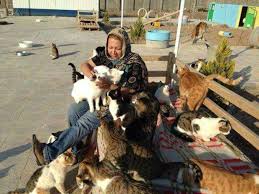Iran: Shelter Fire Killed 200 cats and its Founder