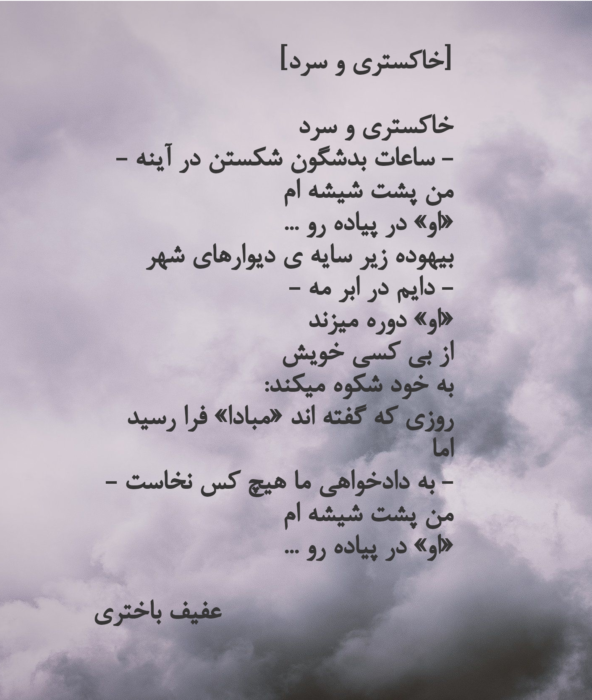 دیدزن از خلال پرتره