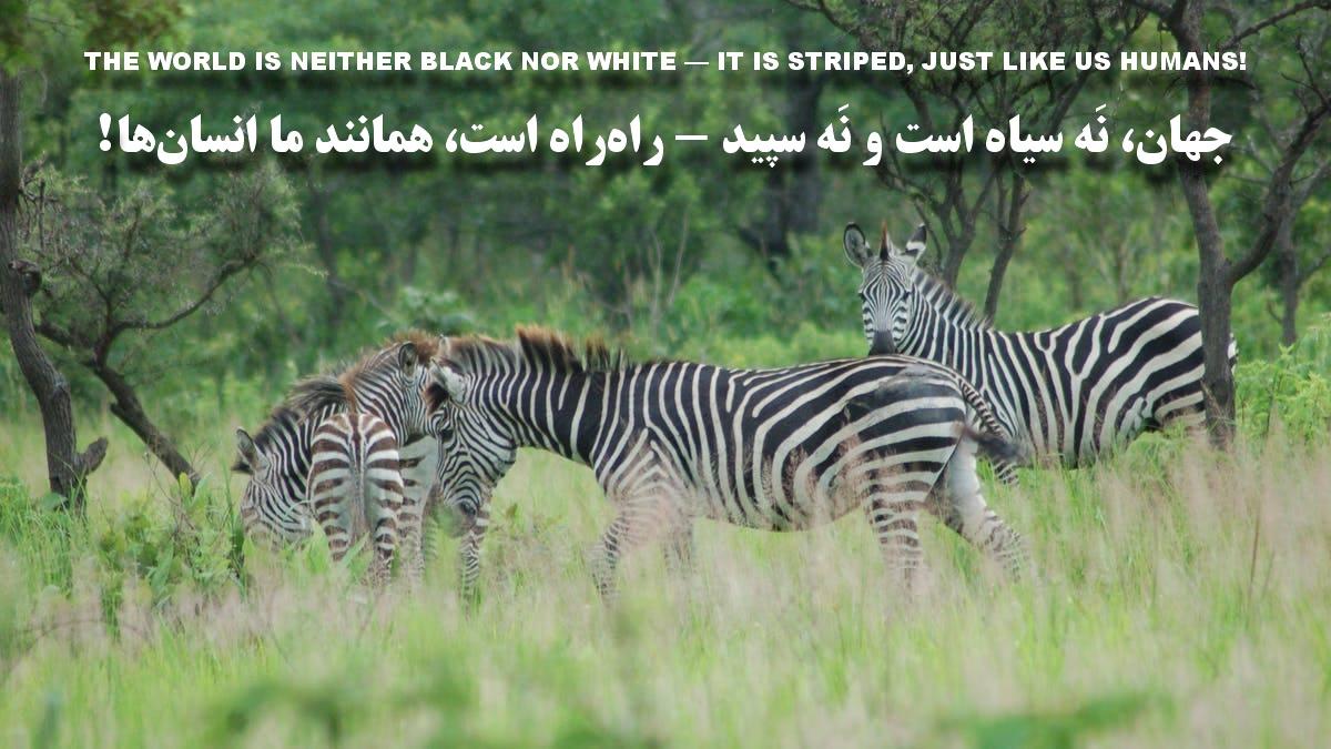 جهان، نَه سیاه است و نَه سپید - راهراه است، همانند ما انسانها!