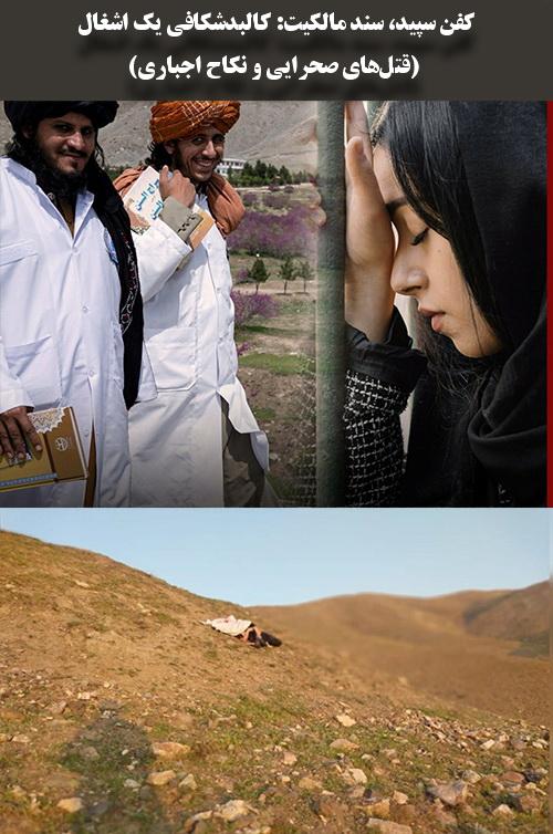 کفن سپید، سند مالکیت: کالبدشکافی یک اشغال