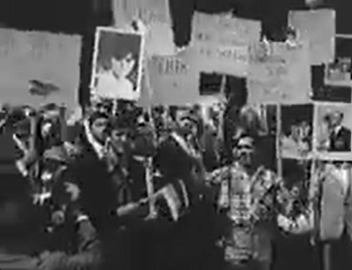 ایرانی چماق‌به‌دست: تصویری تاریخی از سلطنت‌طلبان + ویدئوکلیپ
