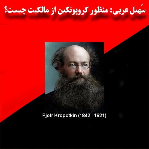 سُهیل عربی: منظور کروپوتکین از مالکیّت چیست؟